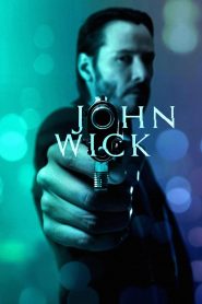 John Wick 2014 Dual Audio Hindi ORG BluRay