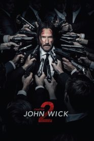 John Wick: Chapter 2 2017 Dual Audio Hindi ORG BluRay