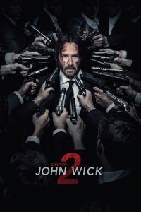 John Wick: Chapter 2 2017 Dual Audio Hindi ORG BluRay