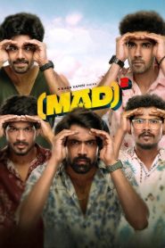 Mad Square 2025 NF Dual Audio Hindi ORG WEB-DL